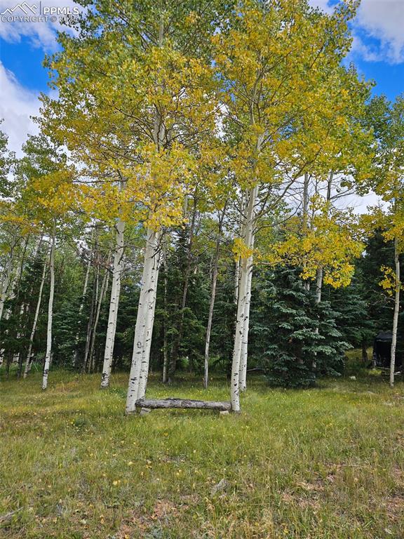 Image 24 of 26: Yard