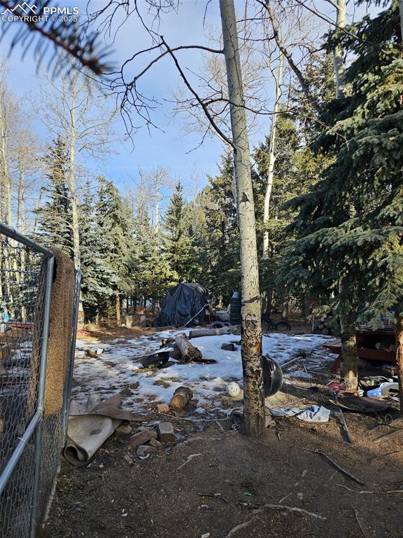 Image 26 of 26: Yard