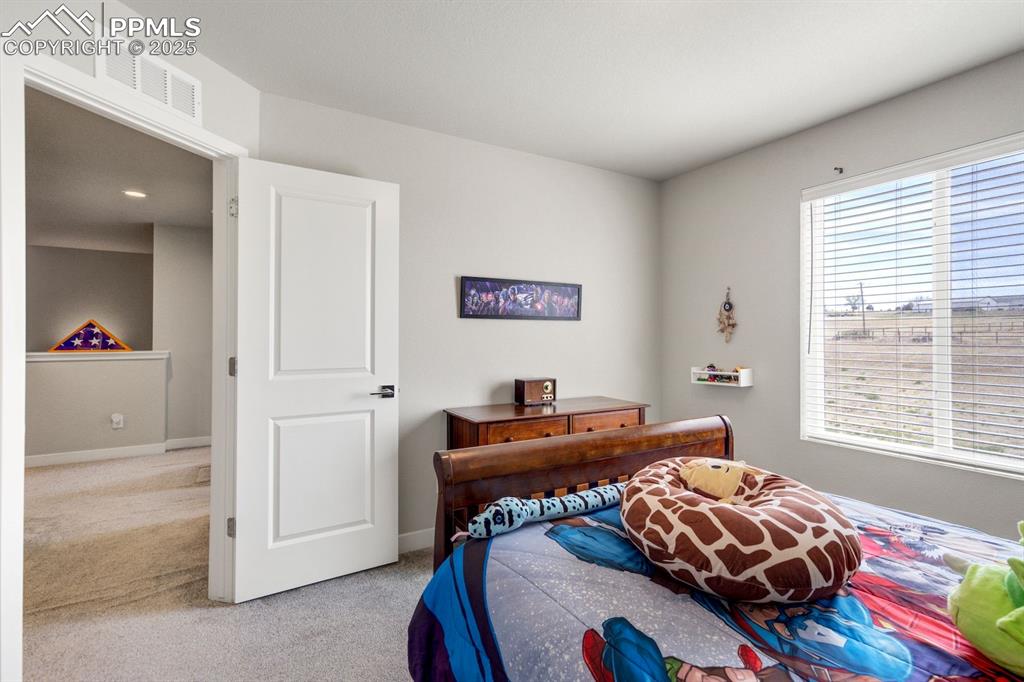 Image 38 of 50: Bedroom with carpet floors, visible vents, and baseboards