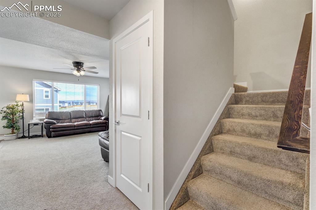 Image 8 of 50: Staircase with carpet, baseboards, and ceiling fan