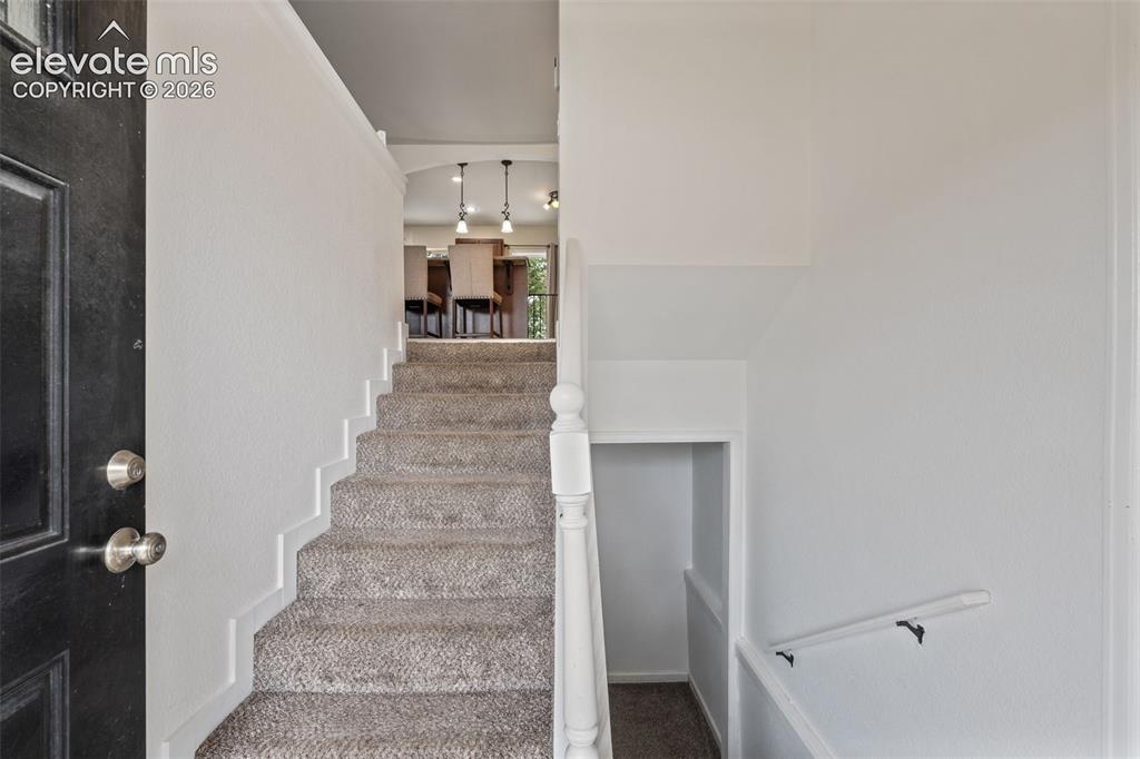 Image 6 of 43: Carpeted staircase with white risers and a white balustrade, featuring a da