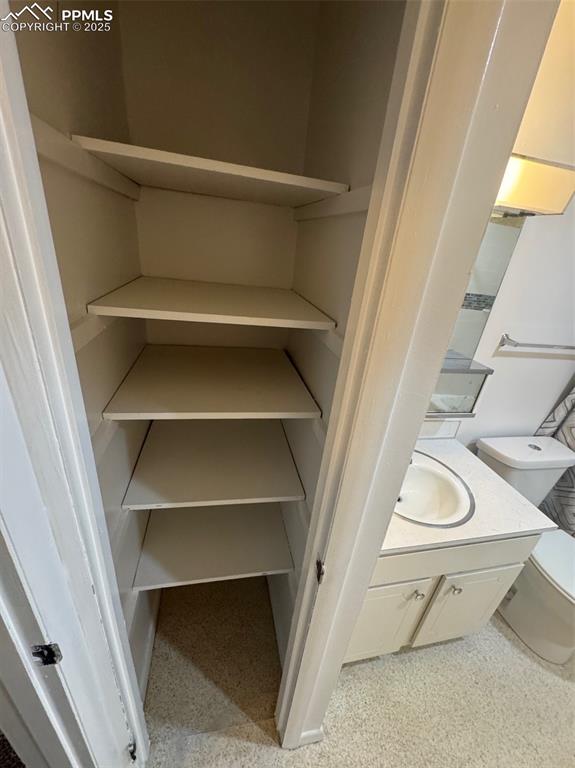 Image 10 of 30: Closet with a sink
