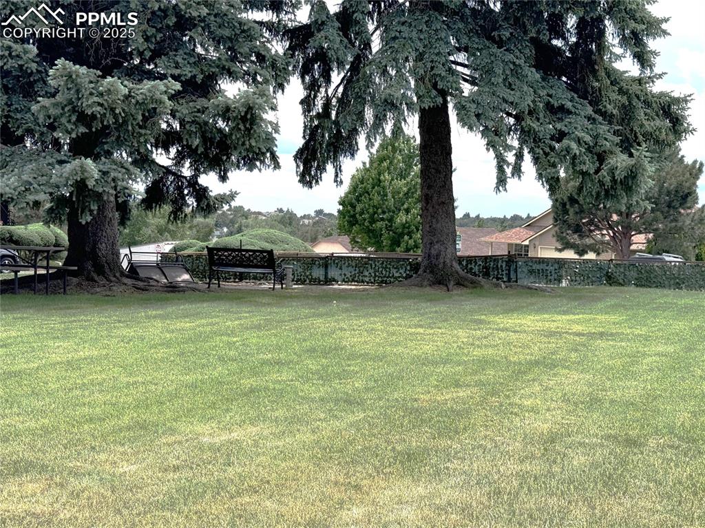 Image 23 of 30: View of yard