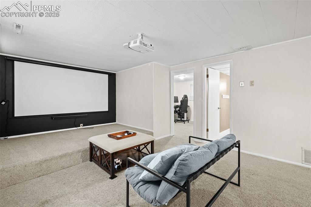 Image 18 of 33: Cinema room with carpet floors