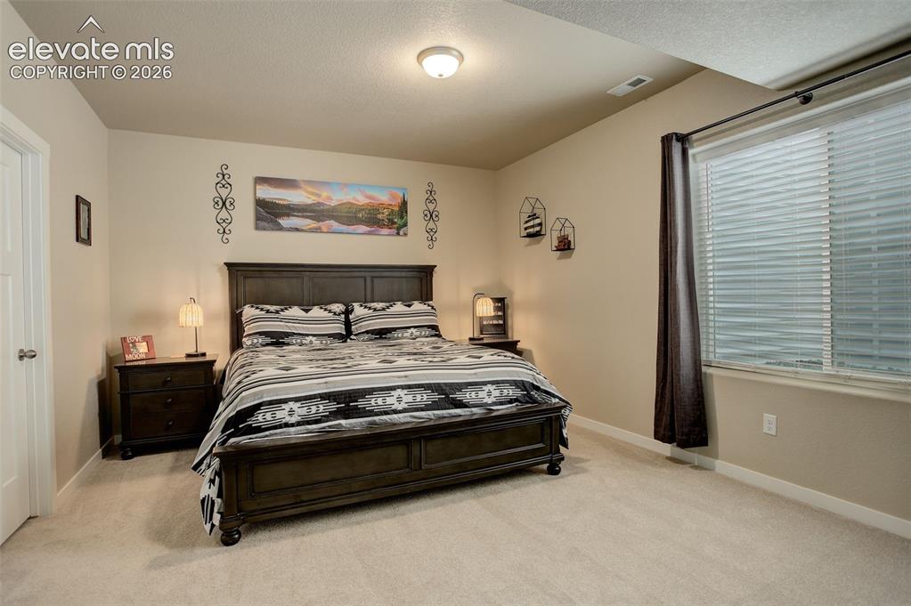 Image 16 of 50: Lower Level; basement bedroom (oversized) featuring walk-in closet