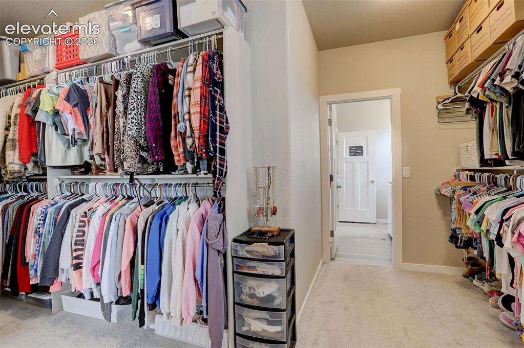 Image 30 of 50: Walk in closet with light carpet