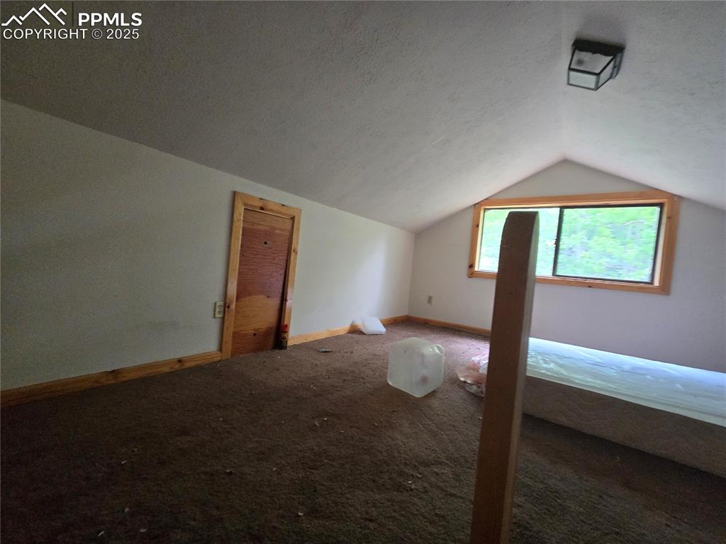 Image 14 of 23: Additional living space featuring carpet flooring, lofted ceiling, and a te
