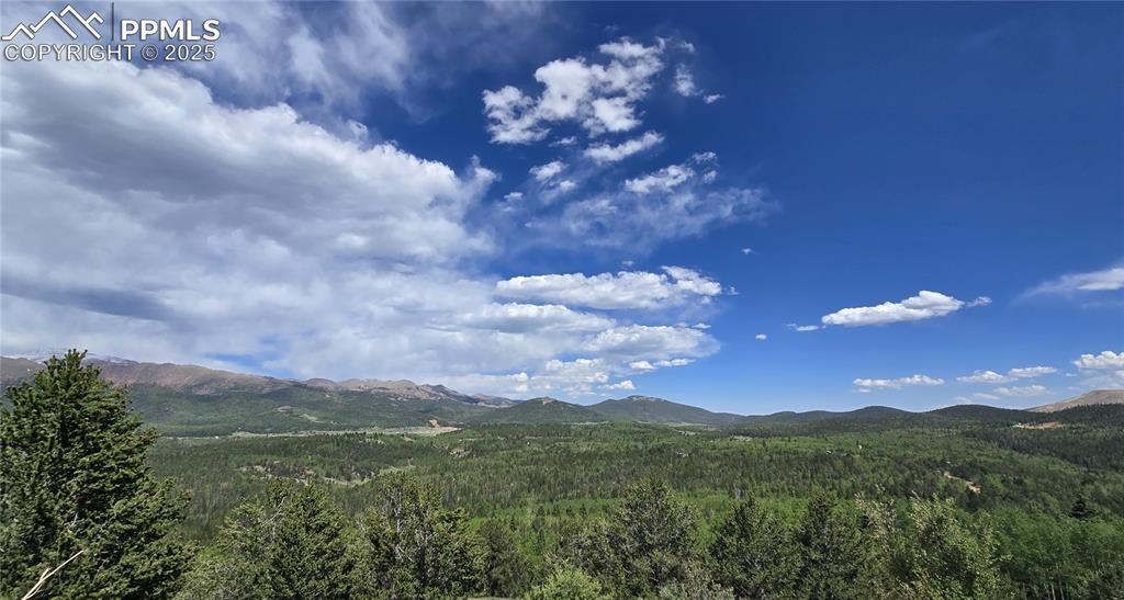 Image 20 of 23: View of mountain background with a forest