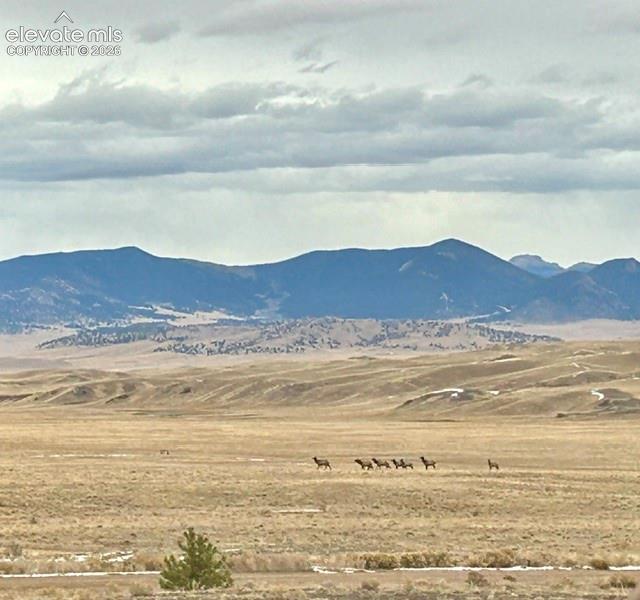 Image 42 of 48: View