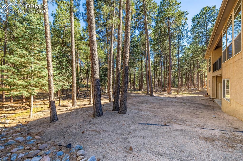 Image 36 of 40: The property features a natural, wooded setting with mature trees and an ou