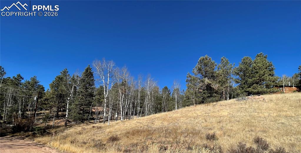 Image 3 of 4: No Description Available