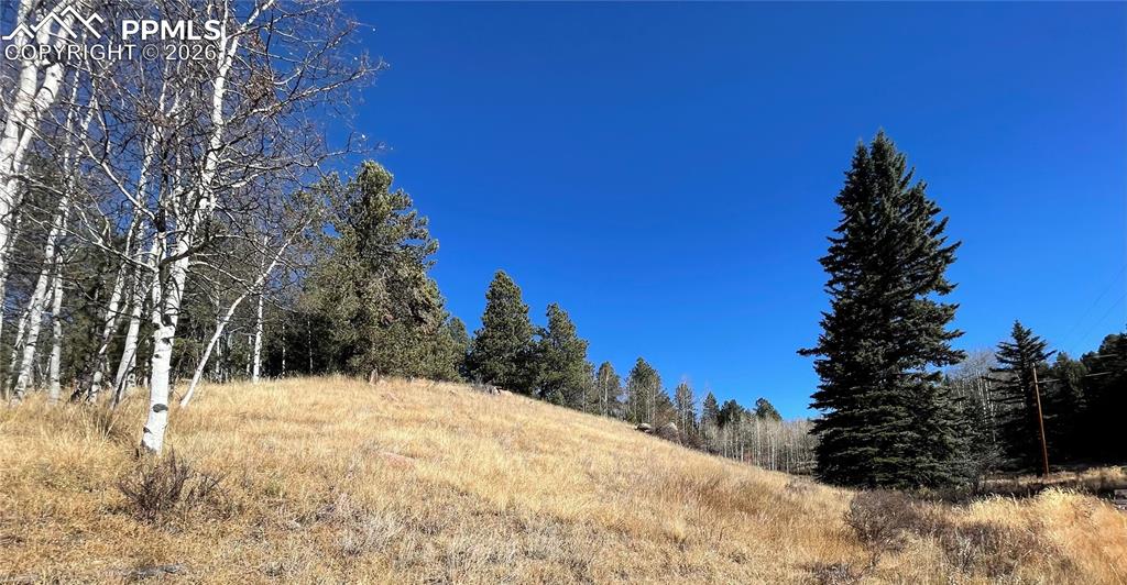 Image 4 of 4: No Description Available