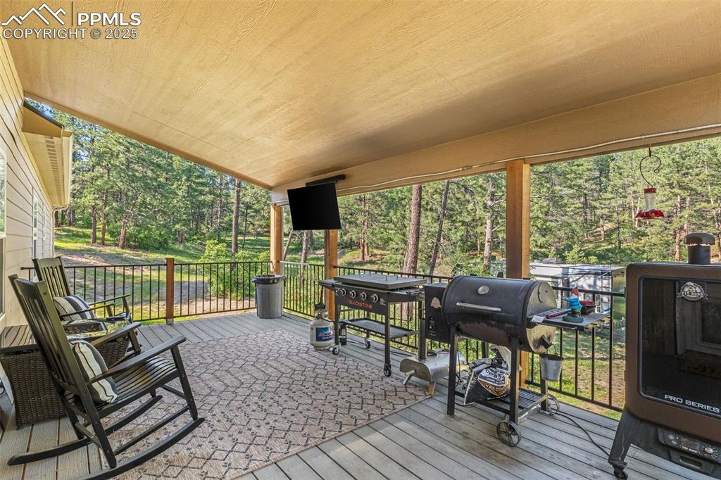 Image 24 of 46: Front terrace with area for grilling