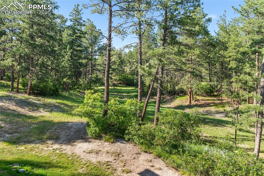 Image 34 of 46: View of yard with a wooded view