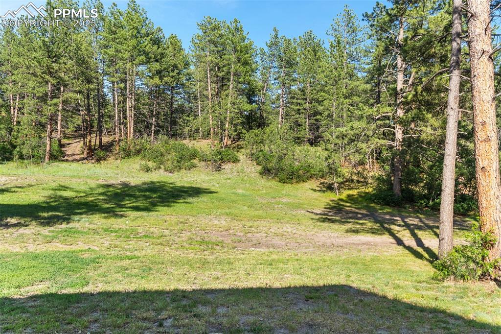 Image 42 of 46: View of green lawn