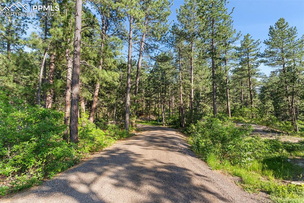 Image 44 of 46: View of street featuring a wooded view