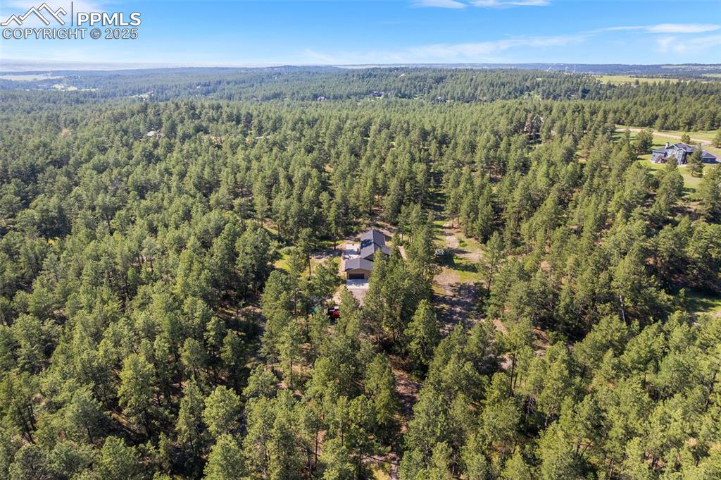 Image 46 of 46: Drone / aerial view of a forest