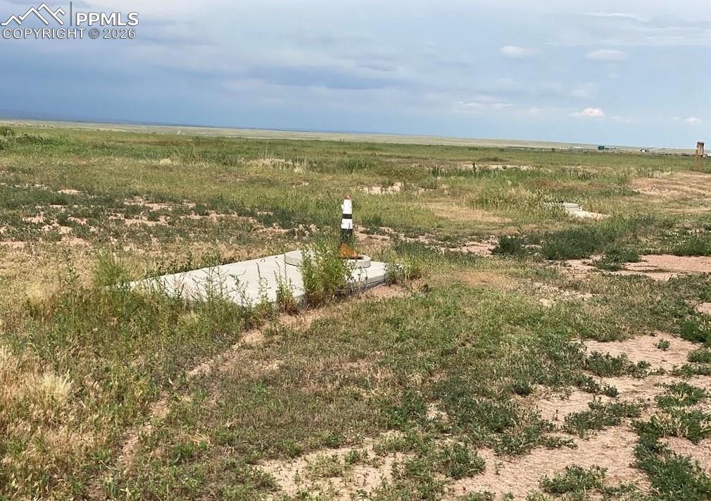 Image 18 of 50: Yard