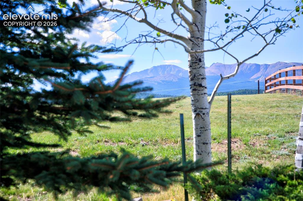 Image 33 of 39: View