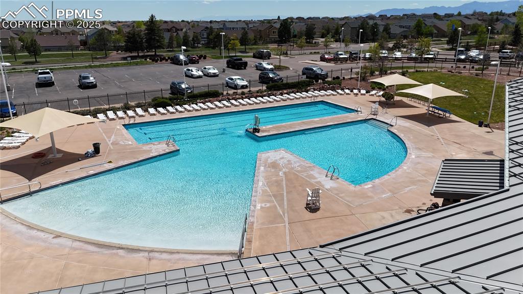 Image 50 of 50: Pool