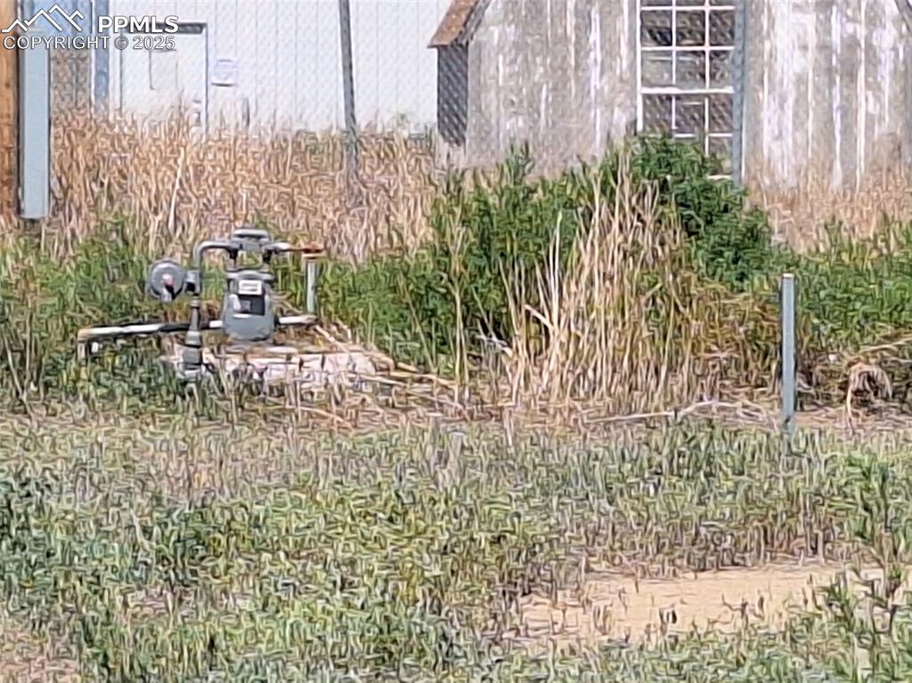 Image 13 of 24: View of yard