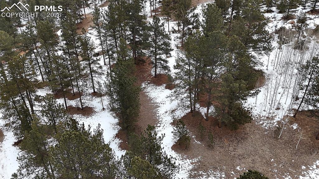 Image 11 of 16: Other