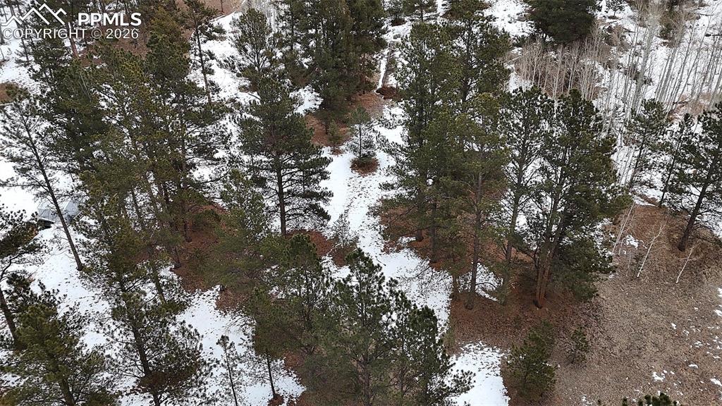 Image 12 of 16: Other