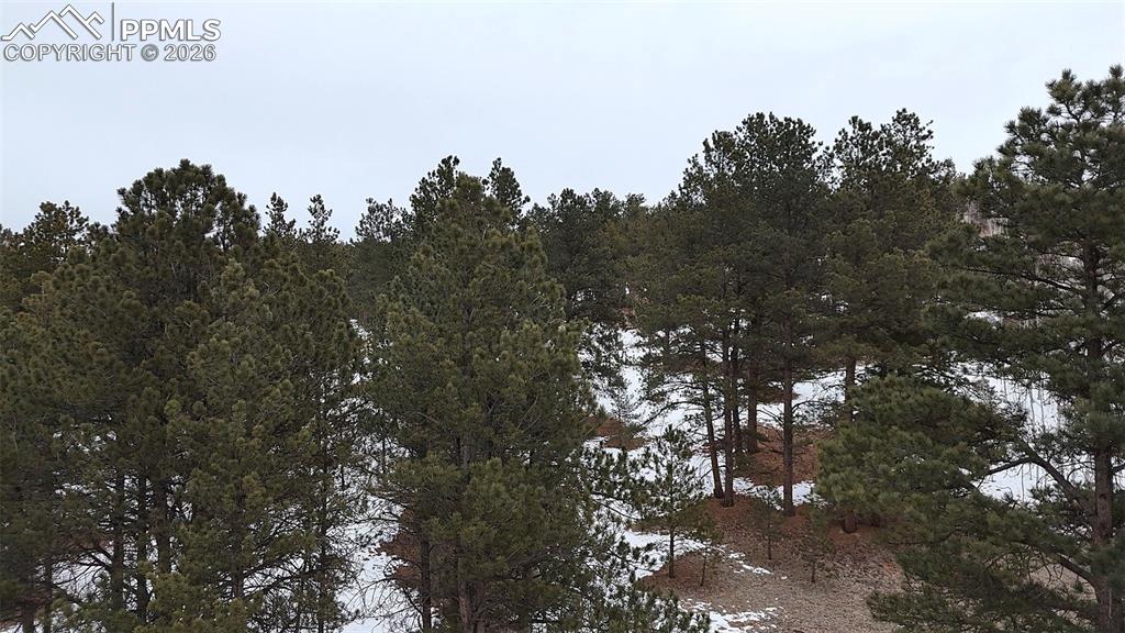 Image 5 of 16: Other