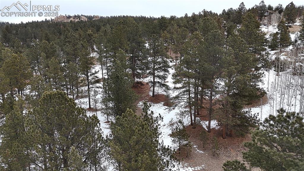 Image 8 of 16: Other