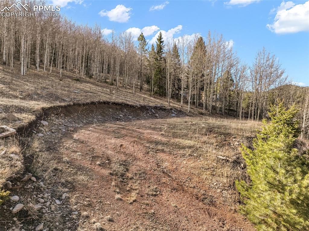 Image 10 of 24: Other