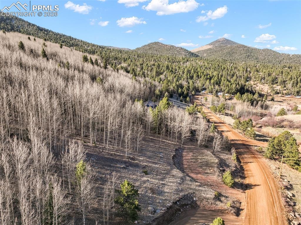 Image 19 of 24: View