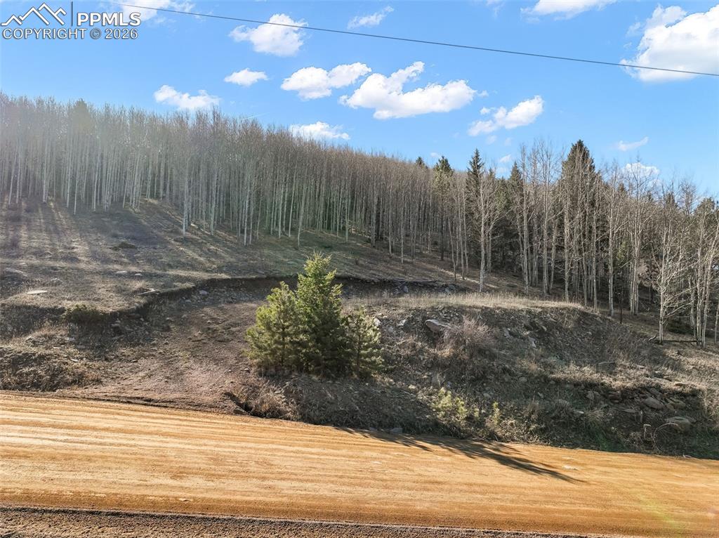 Image 21 of 24: Other