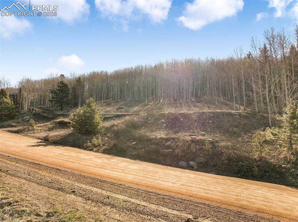 Image 22 of 24: Other