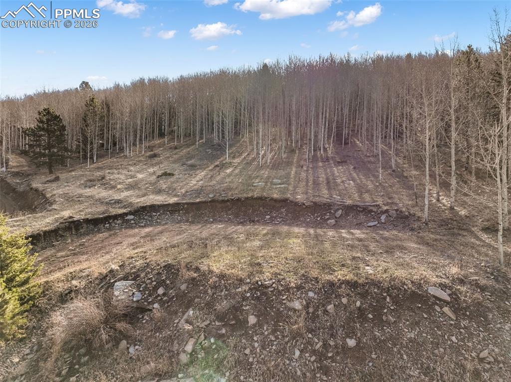 Image 23 of 24: Other