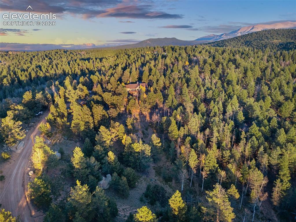 Image 43 of 44: Aerial View