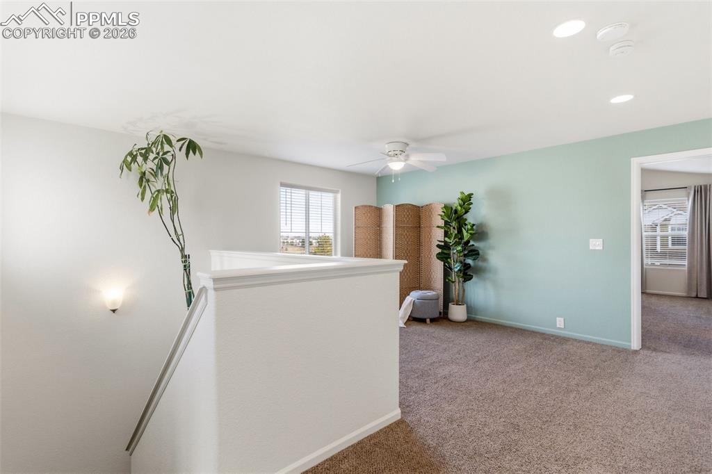 Image 21 of 47: Other