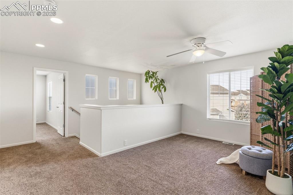 Image 22 of 47: Other