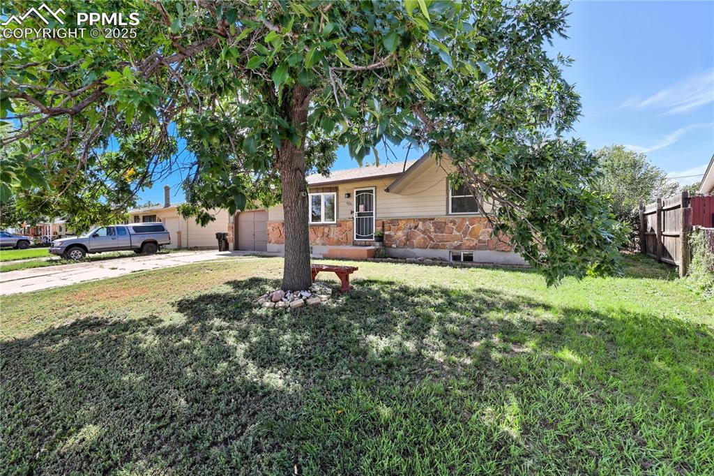 Image 38 of 39: Front of Structure