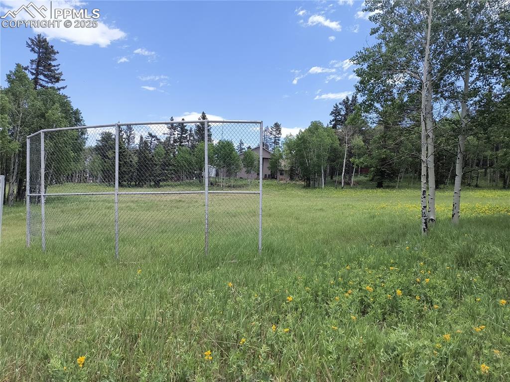 Image 10 of 23: View of yard