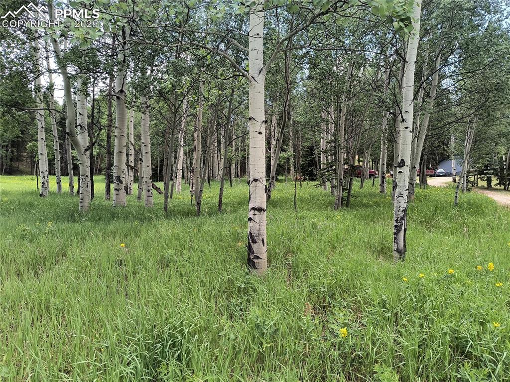Image 13 of 23: View of landscape