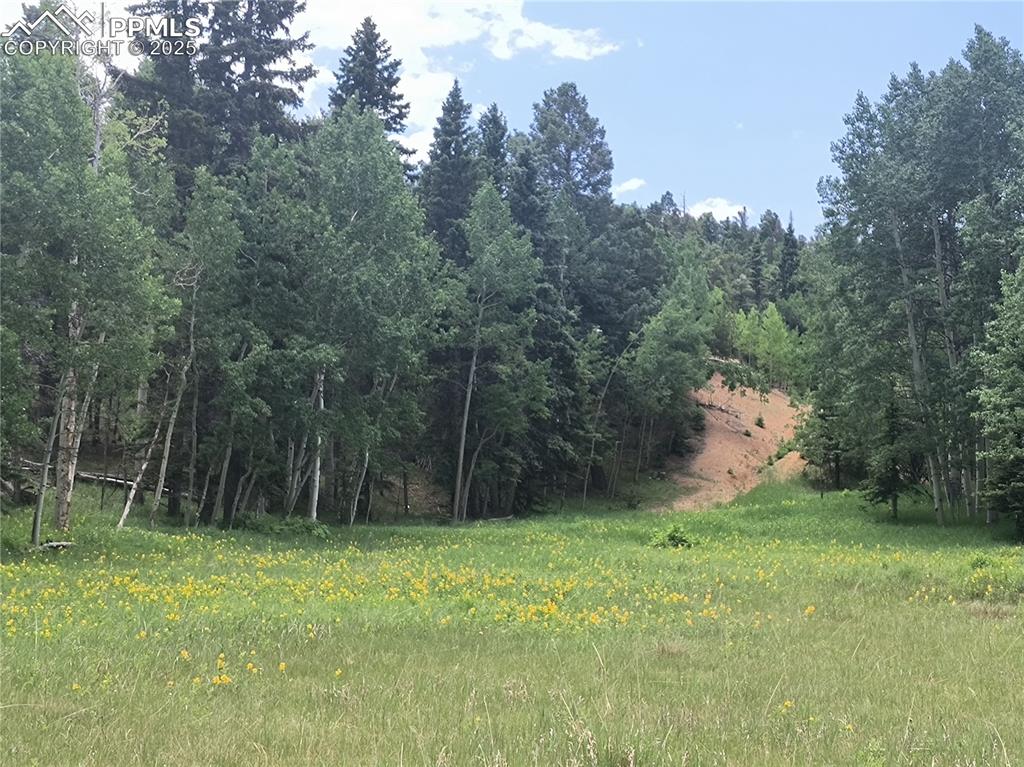 Image 6 of 23: View of landscape