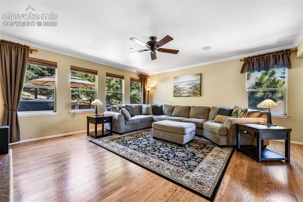 Image 15 of 50: Living Room