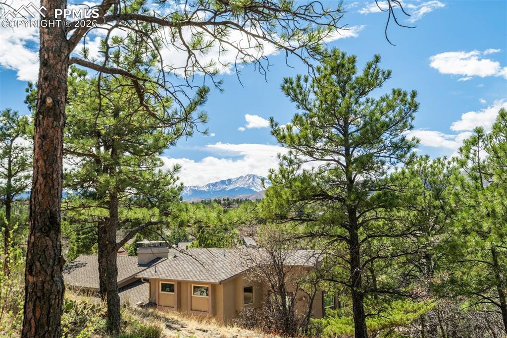 Image 38 of 50: View