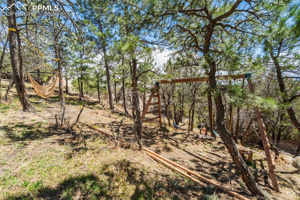 Image 39 of 50: Other