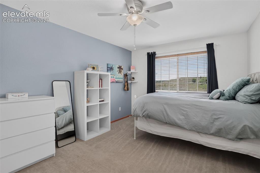 Image 38 of 49: Carpeted bedroom featuring a light blue accent wall, a ceiling fan with int