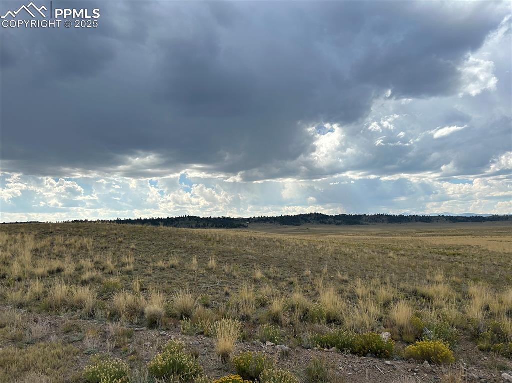 Image 3 of 4: View of local wilderness featuring a rural view
