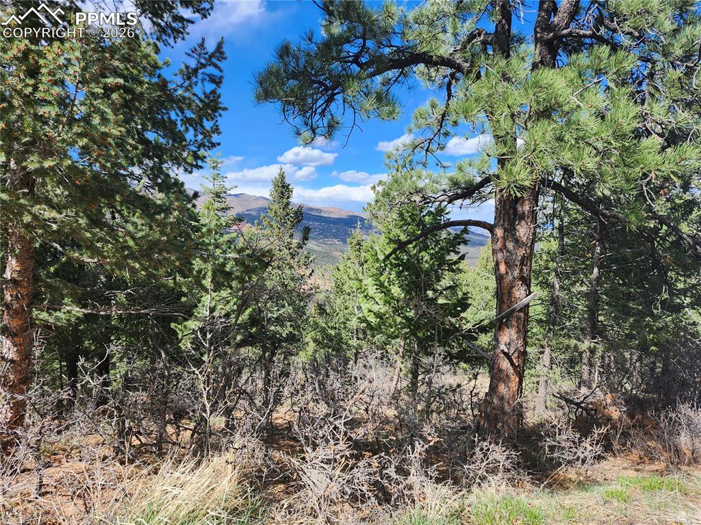 Image 3 of 10: View