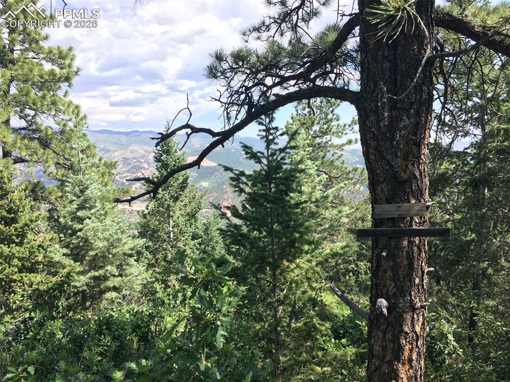 Image 6 of 10: View