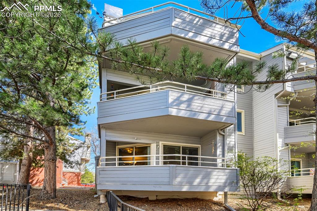 Image 27 of 29: Back of Structure