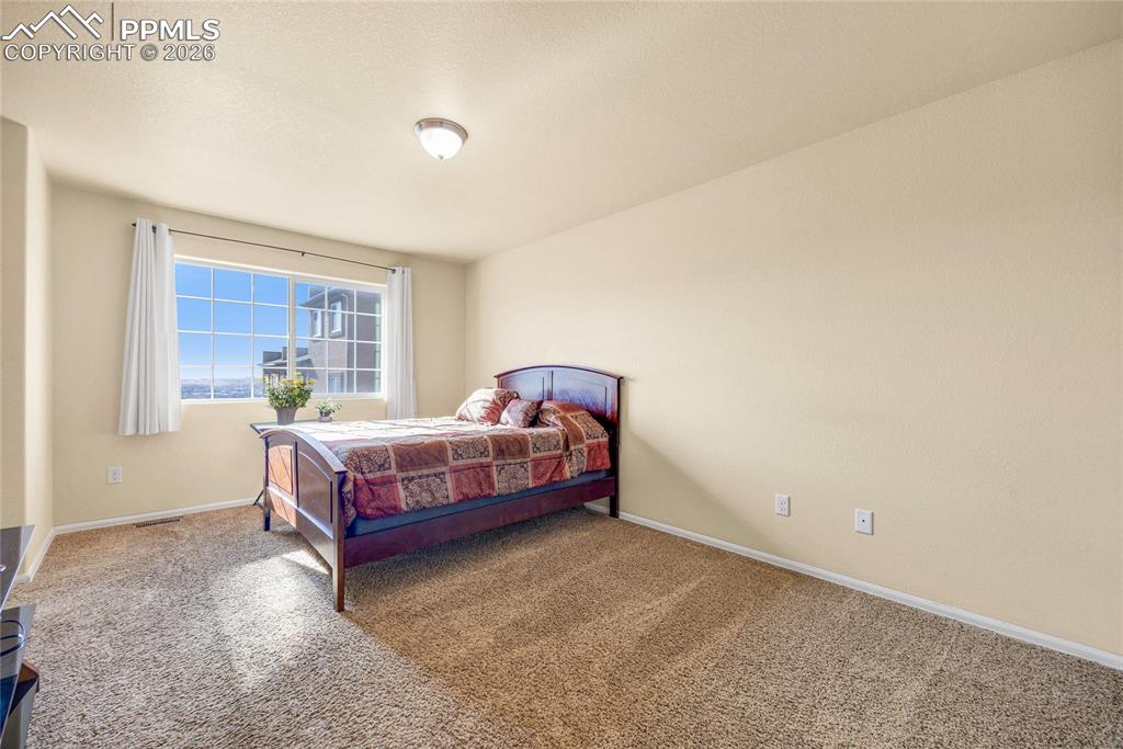 Image 14 of 32: Large primary suite with plush carpet and wide window for natural light.
